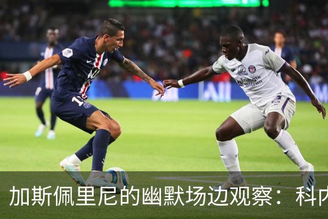 加斯佩里尼的幽默场边观察：科内的机会与足球的奇妙世界
