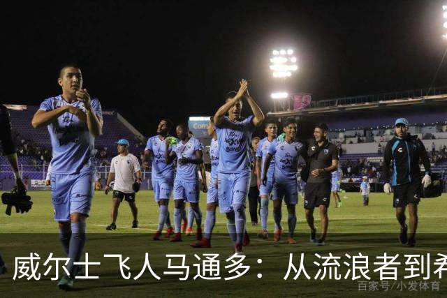 威尔士飞人马通多：从流浪者到希伯尼安的新篇章