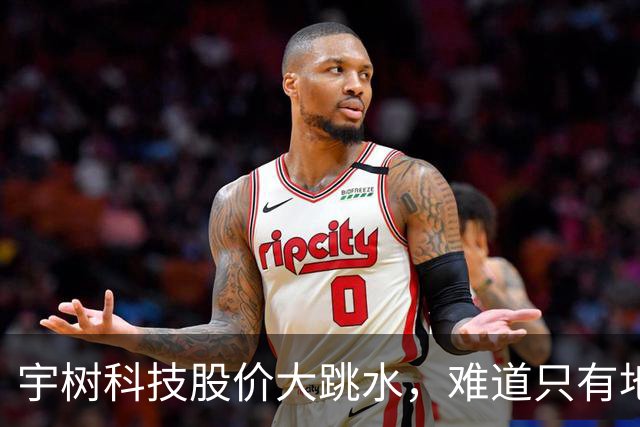 宇树科技股价大跳水，难道只有地心引力陪伴？